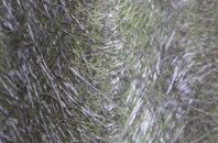 Bredgar fibreglass roof work